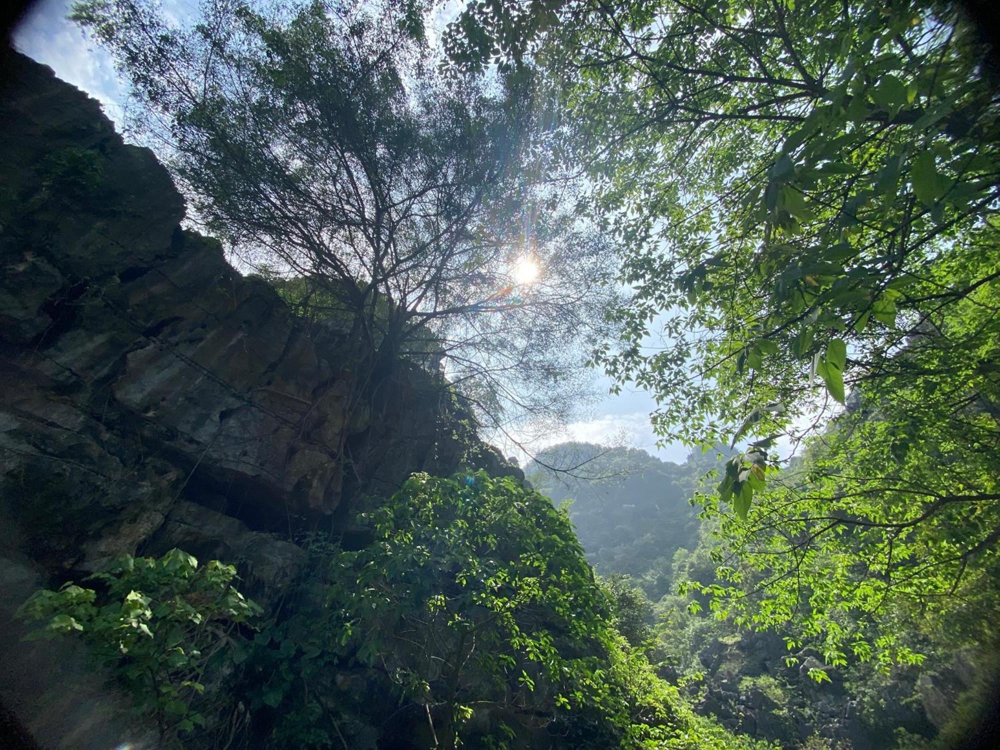 Tam Coc Moutainside Homestay Ninh Binh Eksteriør bilde