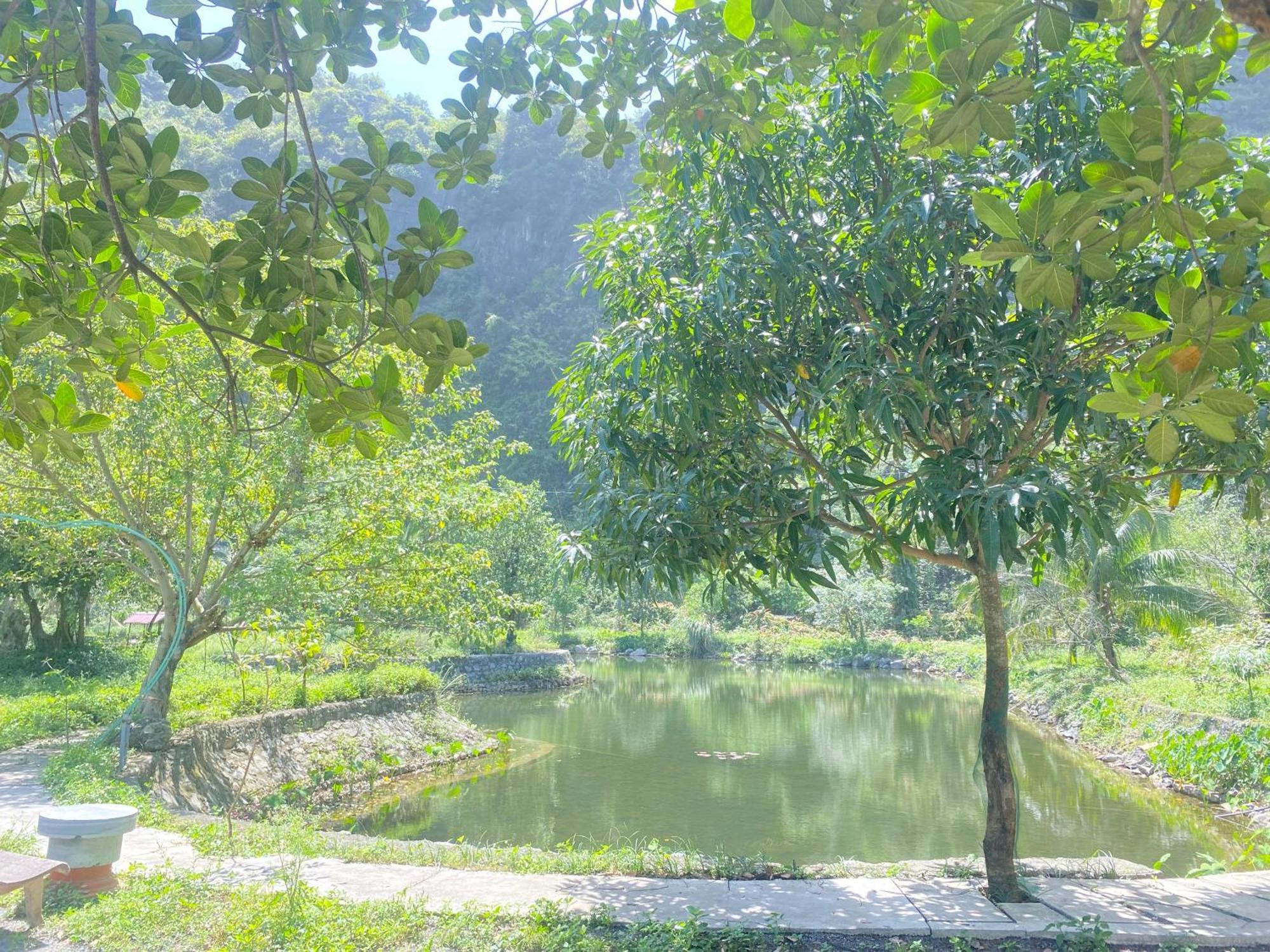 Tam Coc Moutainside Homestay Ninh Binh Eksteriør bilde
